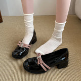 Bonnyshow  New Black Thick Heel Mary Jane Shoes Women's Spring and Autumn Retro Style Shallow Mouth Single Shoes for Women