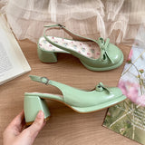 Bonnyshow  Summer Cover Toe Women Sandals Fashion Thick Heel Singbacks Mules Shoes Ladies Outdoor Gladiator Sandalias