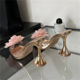 Bonnyshow  PVC Transparent Women Slippers Pumps Designer Wedding Party Pointed Toe High Heels Sandals Spring Ladies Shoes