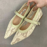 Bonnyshow  Sexy Pointed Toe Embroidery Flat Sandals for Women Breathable Mesh Belt Buckle Brand Designer Shoes Fashion Comfort Casual Shoe